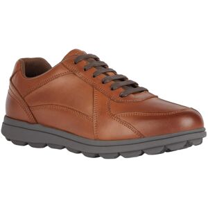 (7 UK, Cognac) Geox Mens U Spherica EC12 Leather Shoes (7 UK, Cognac) Geox Mens U Spherica EC12 Leather Shoes