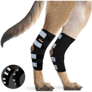 Unbranded (L) Dog Rear Leg Brace Canine Rear Hock Joint Support With Safety Reflective Str Unbranded (L) Dog Rear Leg Brace Canine Rear Hock Joint Support With Safety Reflective Str