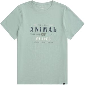 (S, Green) Animal Mens Jacob St Ives T-Shirt (S, Green) Animal Mens Jacob St Ives T-Shirt