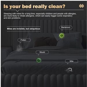 Unbranded (Glod) Handheld Wireless Uv Vacuum Powerful Suction Energy Saving For Plush Toy Unbranded (Glod) Handheld Wireless Uv Vacuum Powerful Suction Energy Saving For Plush Toy