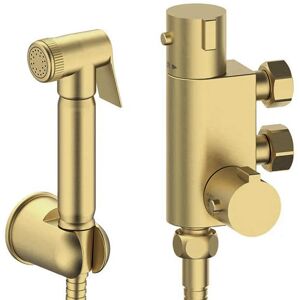 Nes Home Bidet Douche & Thermostatic Bar Valve with Spray Kit Brushed Brass Nes Home Bidet Douche & Thermostatic Bar Valve with Spray Kit Brushed Brass