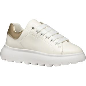 (1.5 UK Child, White/Platinum) Geox Girls Puffypop Trainers (1.5 UK Child, White/Platinum) Geox Girls Puffypop Trainers