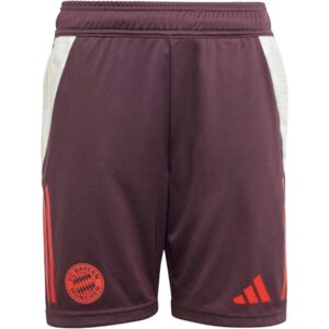 adidas (XXL) 2024-2025 Bayern Munich Training Shorts (Shadow Maroon) - Kids adidas (XXL) 2024-2025 Bayern Munich Training Shorts (Shadow Maroon) - Kids