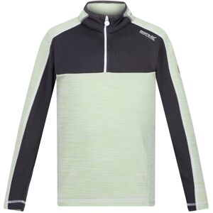 (9-10 Years, Quiet Green/Seal Grey) Regatta Childrens/Kids Hewley Recycled Half (9-10 Years, Quiet Green/Seal Grey) Regatta Childrens/Kids Hewley Recycled Half
