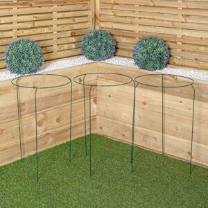 Samuel Alexander Pack of 3 Tom Chambers Urban Metal Herbaceous Garden Plant Support Ring Large 40 Samuel Alexander Pack of 3 Tom Chambers Urban Metal Herbaceous Garden Plant Support Ring Large 40