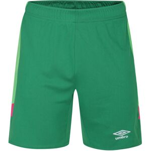 (7-8 Years, Green) Umbro Childrens/Kids Goalkeeper Shorts (7-8 Years, Green) Umbro Childrens/Kids Goalkeeper Shorts