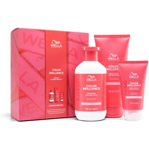 Wella Professionals Invigo Color Brilliance Gift Set - Includes Shampoo, Conditi Wella Professionals Invigo Color Brilliance Gift Set - Includes Shampoo, Conditi