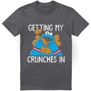 (L, Charcoal) Sesame Street Unisex Adult Cookie Monster T-Shirt (L, Charcoal) Sesame Street Unisex Adult Cookie Monster T-Shirt