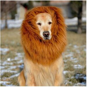 Unbranded (Brown, L) Lion Costume Pet Mane Wig For Dog Halloween Festival Dress Up Gift Fa Unbranded (Brown, L) Lion Costume Pet Mane Wig For Dog Halloween Festival Dress Up Gift Fa