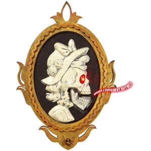 Rubies Removable and illuminated skeleton lady portrait frame 32 x 48 cm Rubies Removable and illuminated skeleton lady portrait frame 32 x 48 cm