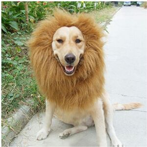 Unbranded (Black, L) Pet Costume Lion Mane Wig For Dog Halloween Festival Dress Up Gift Fa Unbranded (Black, L) Pet Costume Lion Mane Wig For Dog Halloween Festival Dress Up Gift Fa