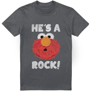 (L, Charcoal) Sesame Street Unisex Adult He's A Rock T-Shirt (L, Charcoal) Sesame Street Unisex Adult He's A Rock T-Shirt