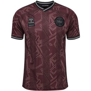 (4XL) 2024-2025 Denmark Special Edition Hummel x Halo SS Shirt (4XL) 2024-2025 Denmark Special Edition Hummel x Halo SS Shirt