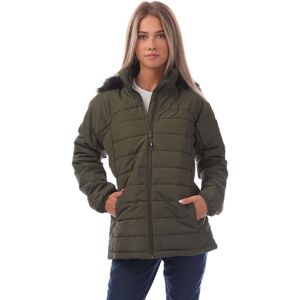 (10 UK, Dark Vine) Trespass Womens/Ladies Translate Padded Jacket (10 UK, Dark Vine) Trespass Womens/Ladies Translate Padded Jacket
