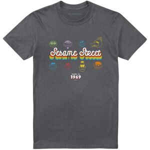 (S, Charcoal) Sesame Street Unisex Adult Made In 1969 T-Shirt (S, Charcoal) Sesame Street Unisex Adult Made In 1969 T-Shirt