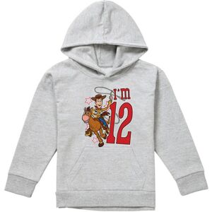 Toy Story Childrens/Kids I'm 12 Woody Heather Birthday Pullover Hoodie Toy Story Childrens/Kids I'm 12 Woody Heather Birthday Pullover Hoodie