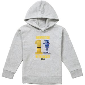 Star Wars Childrens/Kids Greatest Kid C3Po R2D2 Pullover Hoodie Star Wars Childrens/Kids Greatest Kid C3Po R2D2 Pullover Hoodie