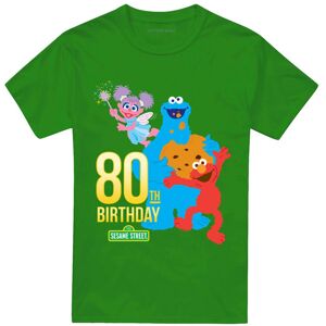 Sesame Street Unisex Adult Birthday 80th T-Shirt Sesame Street Unisex Adult Birthday 80th T-Shirt