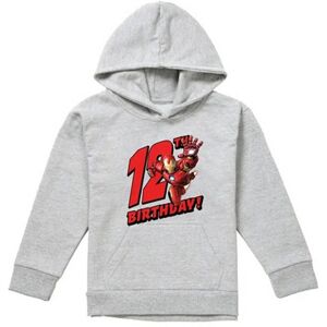 (7-8 Years, Athletic Heather) Marvel Childrens/Kids Iron Man Heather 12th Birthd (7-8 Years, Athletic Heather) Marvel Childrens/Kids Iron Man Heather 12th Birthd