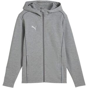 (5-6 Years, Grey) Puma Mens TeamFINAL Casuals Hooded Jacket (5-6 Years, Grey) Puma Mens TeamFINAL Casuals Hooded Jacket