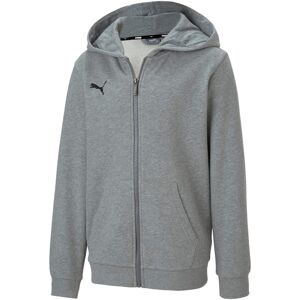 Puma Mens TeamGoal 23 Casuals Hooded Jacket Puma Mens TeamGoal 23 Casuals Hooded Jacket