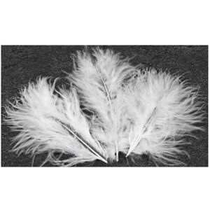 Rubies 20 White Decorative Feathers 5.5 cm Rubies 20 White Decorative Feathers 5.5 cm