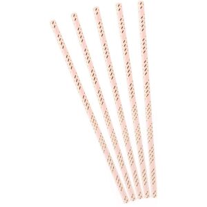 Rubies 10 Pink Cardboard Straws with Metallic Gold Stripes 19.5 cm Rubies 10 Pink Cardboard Straws with Metallic Gold Stripes 19.5 cm