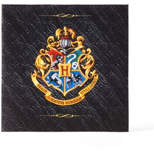 Rubies 20 Harry Potter Paper Napkins 33 x 33 cm Rubies 20 Harry Potter Paper Napkins 33 x 33 cm
