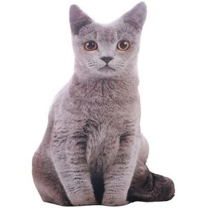 Unbranded (Grey) Simulation 3d 50cm Cat Pillow Animal Doll Cushion Throw Pillow Plush Deco Unbranded (Grey) Simulation 3d 50cm Cat Pillow Animal Doll Cushion Throw Pillow Plush Deco