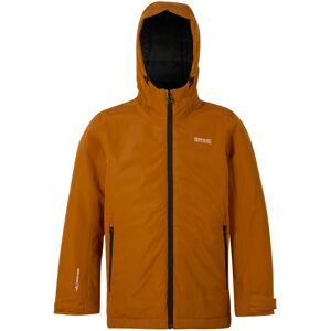 (7-8 Years, Pumpkin Spice/Black) Regatta Childrens/Kids Frelton Waterproof Jacke (7-8 Years, Pumpkin Spice/Black) Regatta Childrens/Kids Frelton Waterproof Jacke