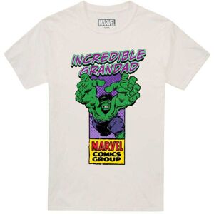 Marvel Comics Mens Incredible Grandad Hulk Corner Box T-Shirt Marvel Comics Mens Incredible Grandad Hulk Corner Box T-Shirt