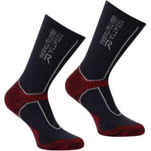 (9 UK-12 UK, Dark Grey/Rio Red) Regatta Mens Merino Wool Hiking Socks (9 UK-12 UK, Dark Grey/Rio Red) Regatta Mens Merino Wool Hiking Socks