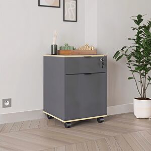 FWStyle 1 Door 1 Drawer Mobile Office Cabinet FWStyle 1 Door 1 Drawer Mobile Office Cabinet