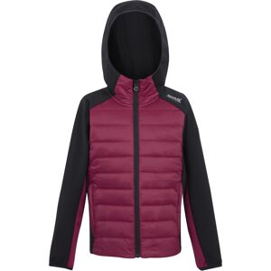 (15-16 Years, Black/Dark Pimento) Regatta Childrens/Kids Kielder IX Hybrid Jacke (15-16 Years, Black/Dark Pimento) Regatta Childrens/Kids Kielder IX Hybrid Jacke