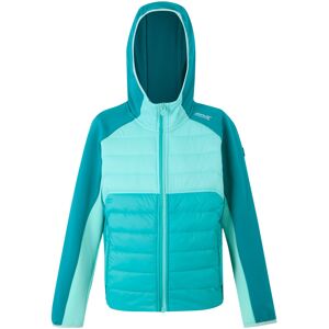 (3-4 Years, Turquoise/Aruba Blue/Exotic Plume) Regatta Childrens/Kids Kielder IX (3-4 Years, Turquoise/Aruba Blue/Exotic Plume) Regatta Childrens/Kids Kielder IX