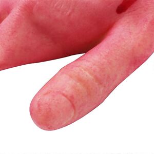 Unbranded For Bloody Horror Scary Halloween Prop Fake Severed Life Size Arm Hand House 19 Unbranded For Bloody Horror Scary Halloween Prop Fake Severed Life Size Arm Hand House 19