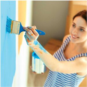 Silverline Paint Brush Set (Pack of 5) Silverline Paint Brush Set (Pack of 5)