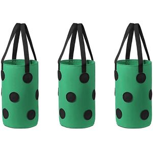 Unbranded For 3pcs Multifunction 12 Holes Felt Hanging Tomato Grow Unbranded For 3pcs Multifunction 12 Holes Felt Hanging Tomato Grow