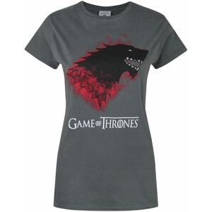 (X-Large) Game of Thrones Short Sleeved T-Shirt (Womens Grey) (X-Large) Game of Thrones Short Sleeved T-Shirt (Womens Grey)