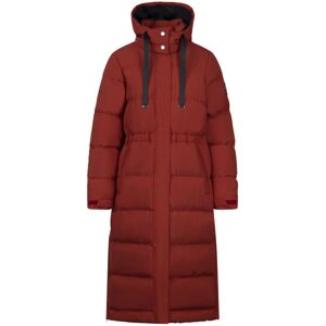 (S, Burnt Sienna) Trespass Womens/Ladies Colter Waterproof Jacket (S, Burnt Sienna) Trespass Womens/Ladies Colter Waterproof Jacket