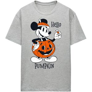 (XL, Athletic) Disney Womens/Ladies Hello Pumpkin Mickey Mouse Heather T-Shirt (XL, Athletic) Disney Womens/Ladies Hello Pumpkin Mickey Mouse Heather T-Shirt