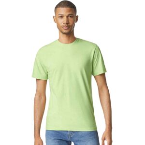 (S, Pistachio) Gildan Mens Short Sleeve Soft-Style T-Shirt (S, Pistachio) Gildan Mens Short Sleeve Soft-Style T-Shirt