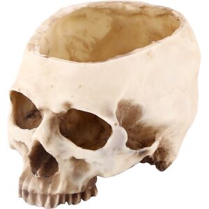 Unbranded 1pc Resin Skull Head Design Flower Pot Planter Unbranded 1pc Resin Skull Head Design Flower Pot Planter