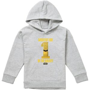 Star Wars Childrens/Kids C3PO 1 Hoodie Star Wars Childrens/Kids C3PO 1 Hoodie