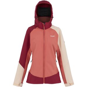 (12 UK, Rumba Red/Mineral Red) Regatta Womens/Ladies Desoto X Soft Shell Jacket (12 UK, Rumba Red/Mineral Red) Regatta Womens/Ladies Desoto X Soft Shell Jacket