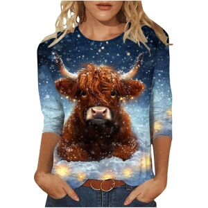 Unbranded (L, 013 Multicolor) Christmas Jumpers for Women Xmas Sweatshirts Crewneck 3/4 Sl Unbranded (L, 013 Multicolor) Christmas Jumpers for Women Xmas Sweatshirts Crewneck 3/4 Sl