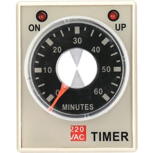 Unbranded 220VAC 60 Minutes Power On Delay Timer Time Relay Unbranded 220VAC 60 Minutes Power On Delay Timer Time Relay