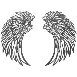 Unbranded Rust-Resistant Iron Angel Wings with LED Lights - Indoor/Outdoor Decor Unbranded Rust-Resistant Iron Angel Wings with LED Lights - Indoor/Outdoor Decor