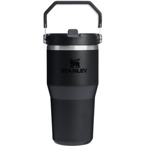 Stanley IceFlow 2.0 Flip Straw Tumbler with Handle 20 oz Twist On Lid and Flip Stanley IceFlow 2.0 Flip Straw Tumbler with Handle 20 oz Twist On Lid and Flip