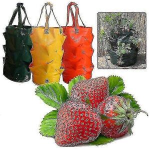 Unbranded (Dark green) Potato and strawberry planting bags for growing potatoes, outdoor v Unbranded (Dark green) Potato and strawberry planting bags for growing potatoes, outdoor v